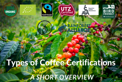 What Type Of Coffee Certifications Exist - A Short Guide