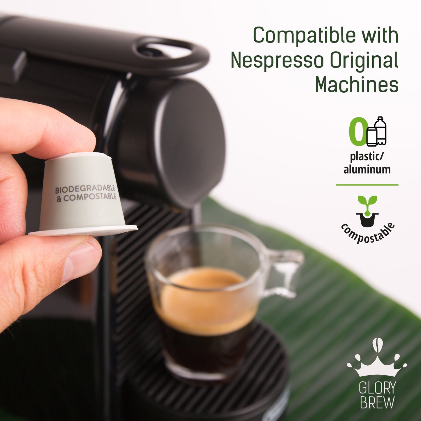 Duchess Decaf – Wholesale Bundle – 400 Compostable Espresso Pods – Intensity 4 - Without Caffeine