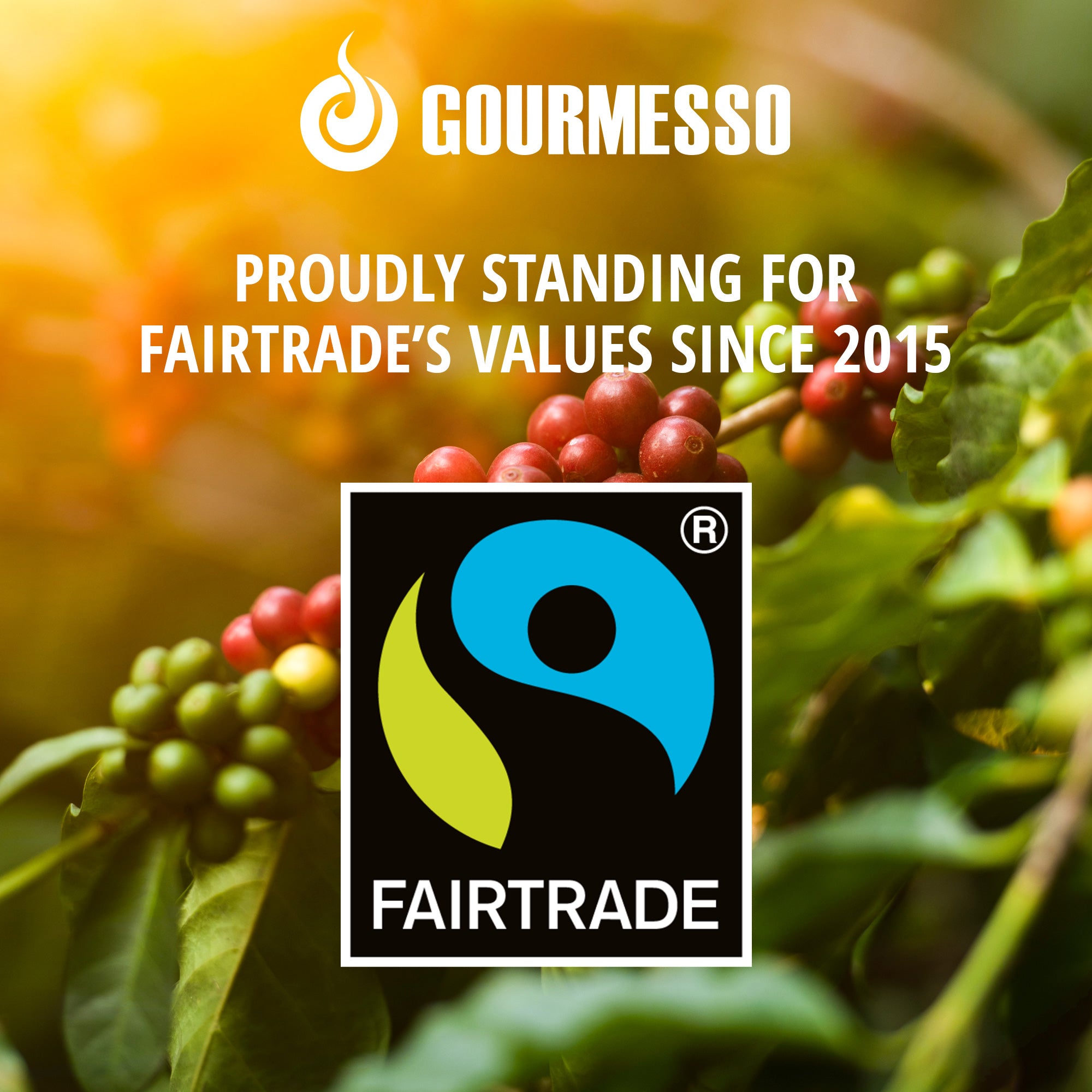 Gourmesso Flavors 100ct - 5 Fairtrade Blends ($.47 / pod)