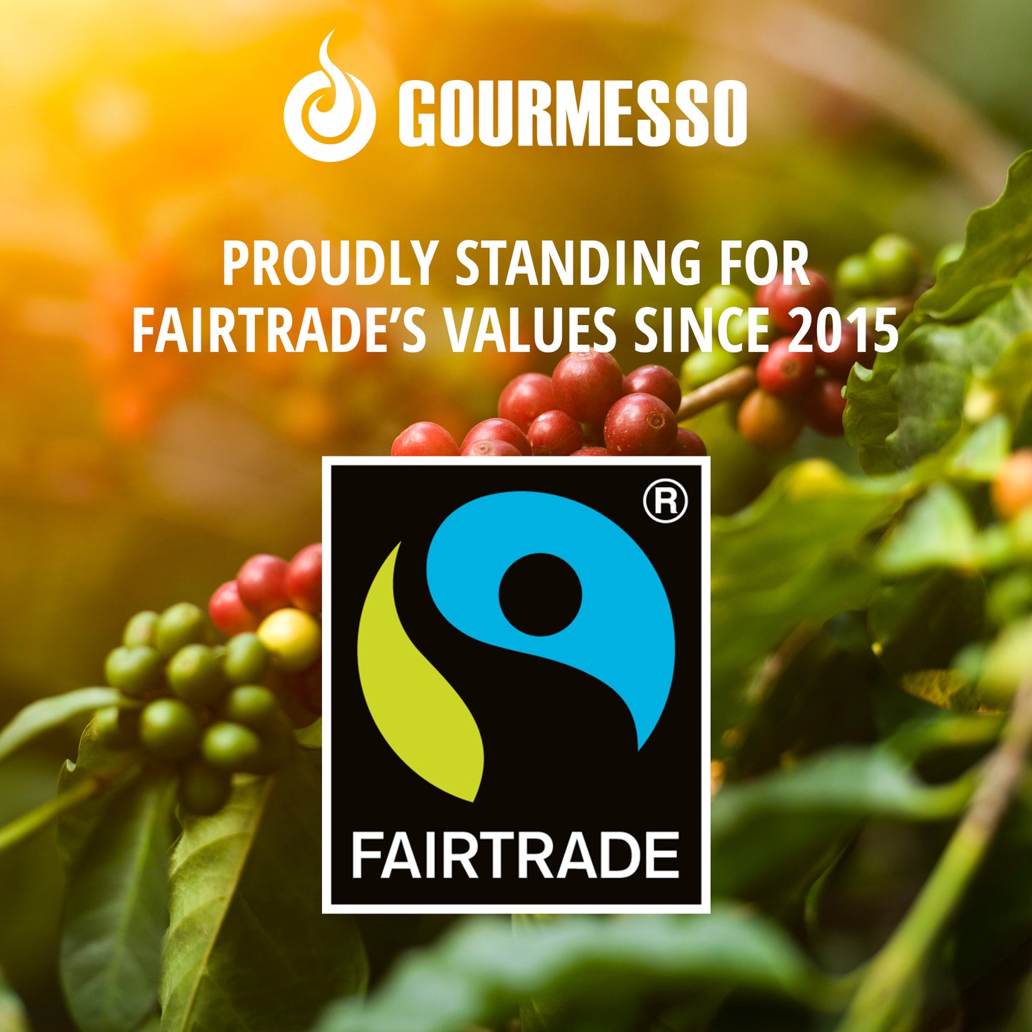 Vanilla Espresso (Fairtrade) - 10 Pods