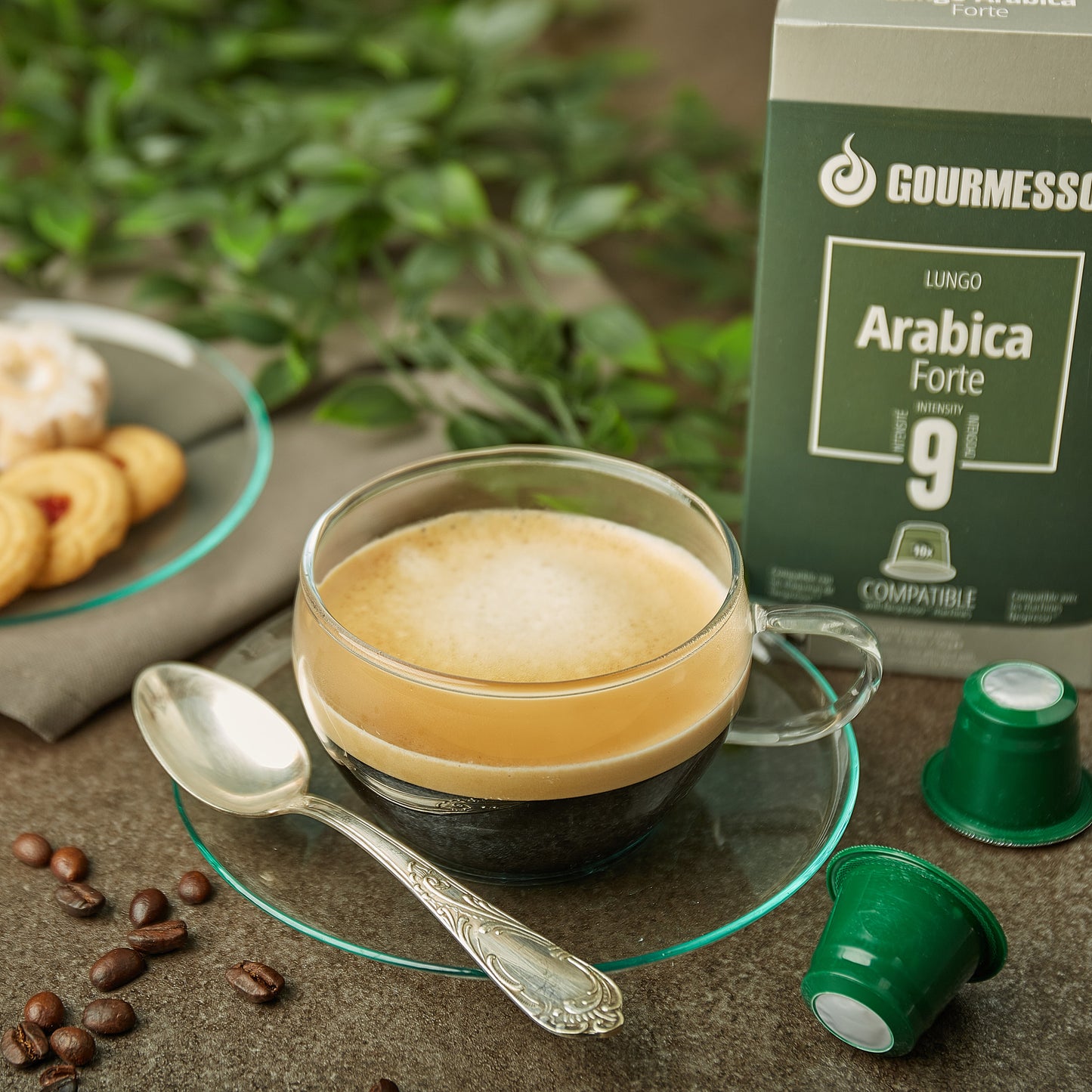 Lungo Arabica Forte (Fairtrade) - 10 Pods