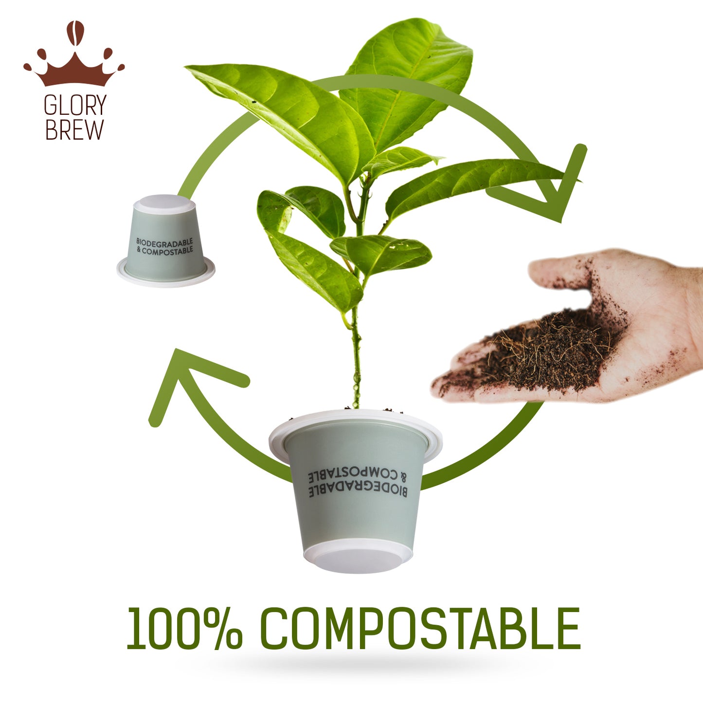 Duchess Decaf - Compostable Espresso Sampler Pack - 20 Pods - Intensity 4 - Without Caffeine