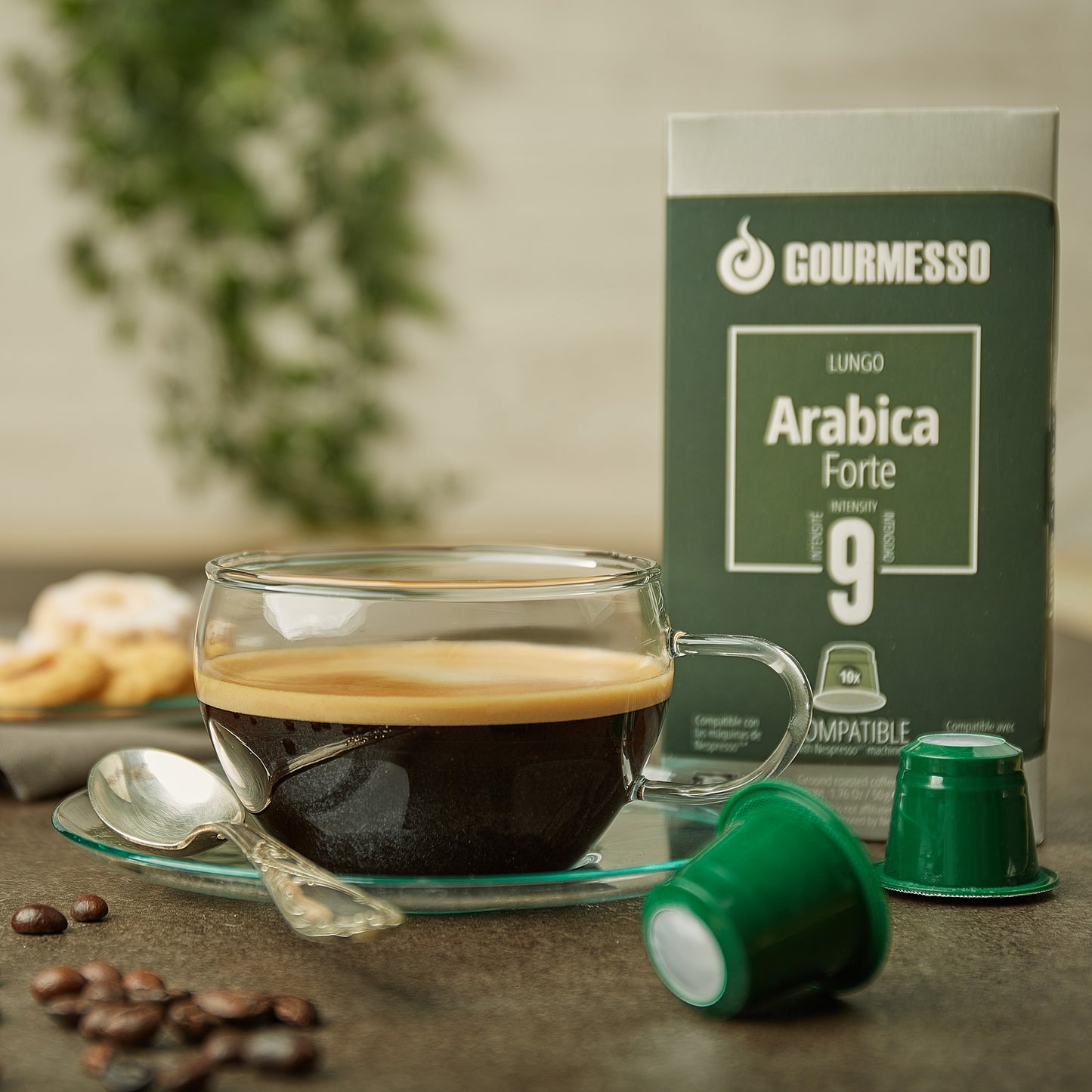 Lungo Arabica Forte (Fairtrade) - 10 Pods