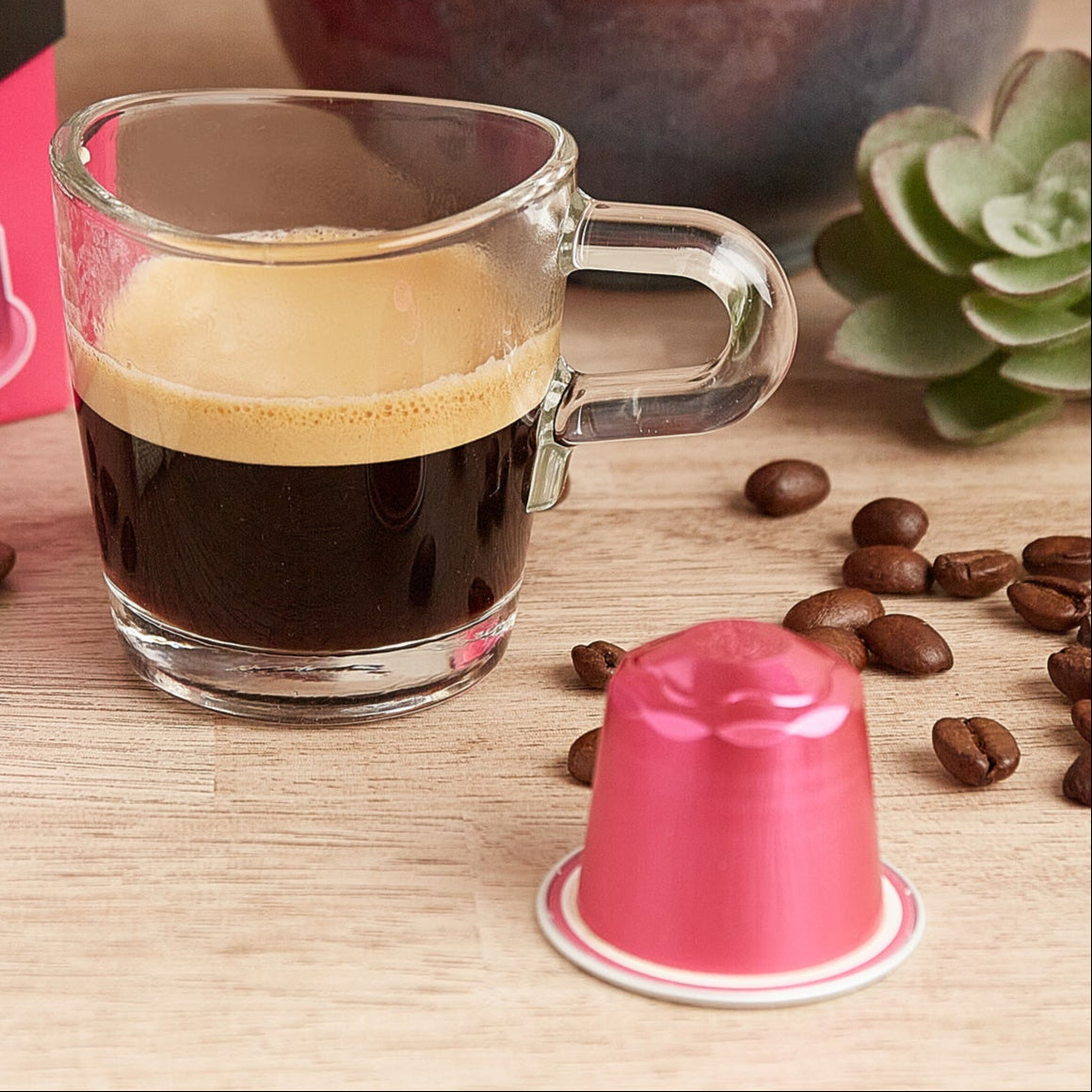 Dallmayr Capsa Espresso Barista - 20 Pods - Made in Germany - Limited Edition Trial Pack
