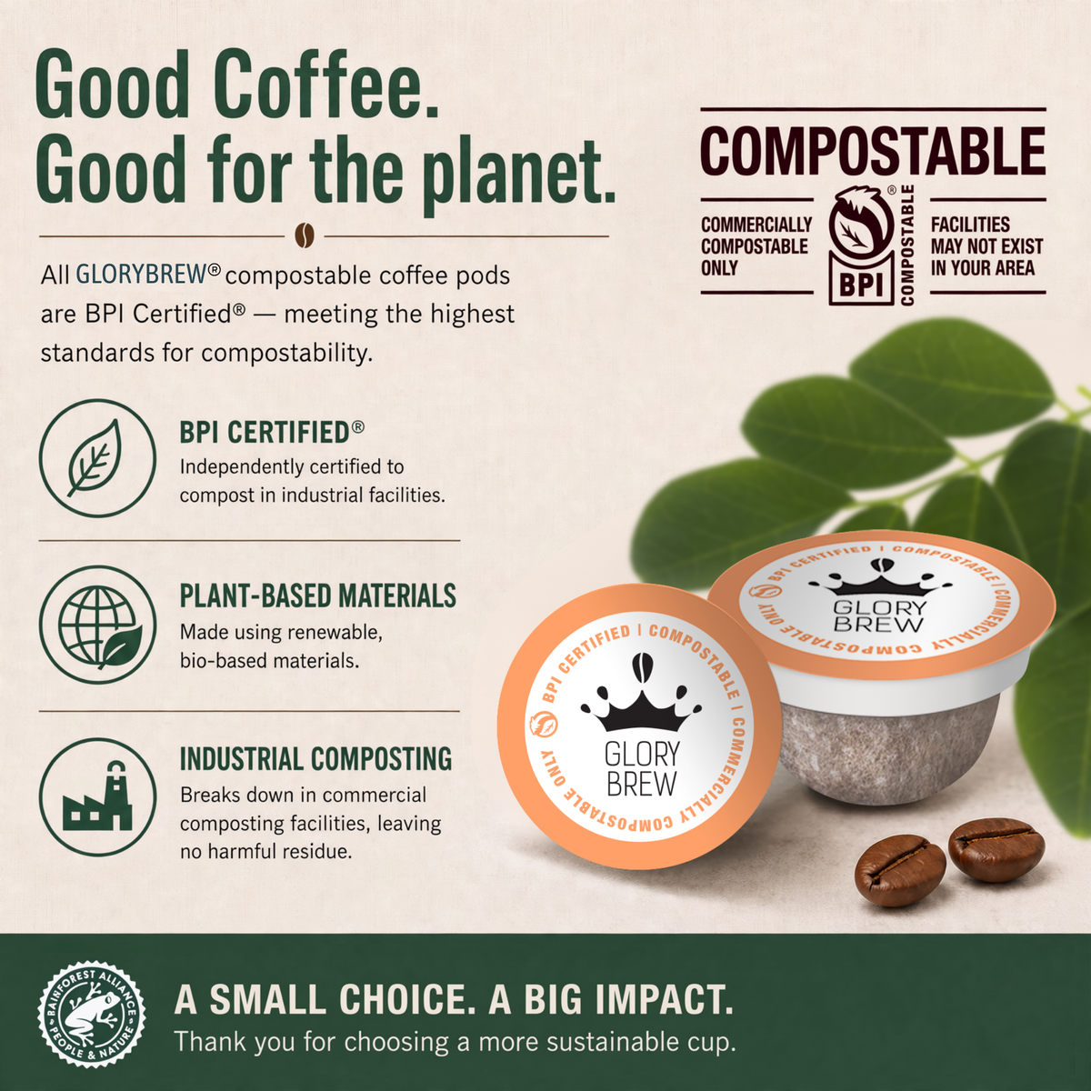 Variety Pack - 3 Blend - 36 Compostable K-Cups