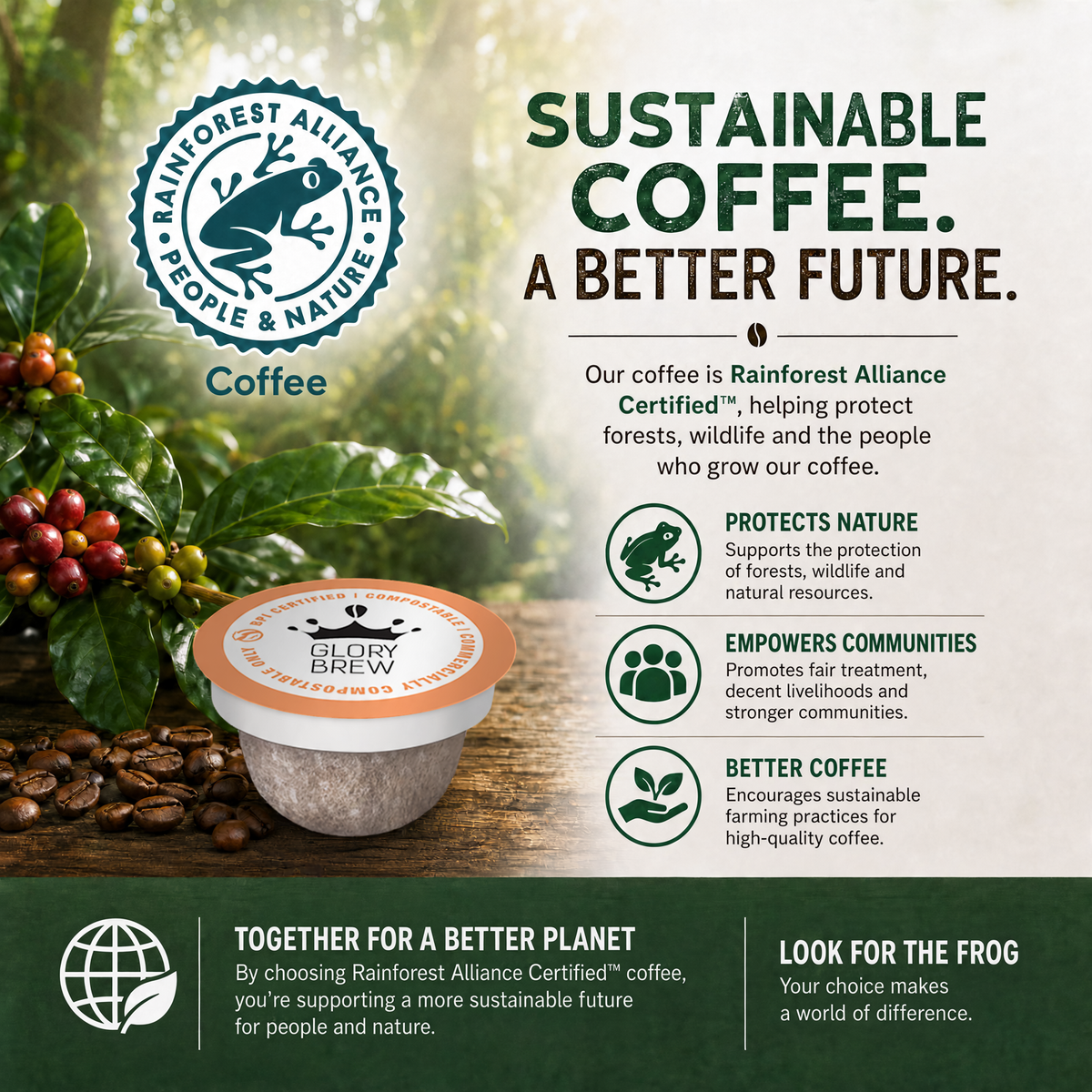 Variety Pack - 3 Blend - 36 Compostable K-Cups