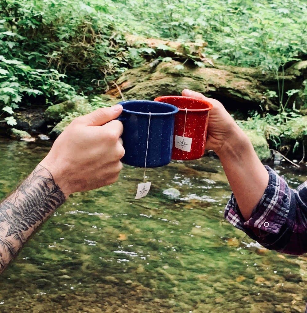 Teodoro's Italian Roast - Steeped Single Serve - 10 bags