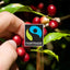 Fairtrade Espresso Variety Pack 50 Pods - 5 Blends