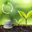 Queen Espresso - 10 Compostable Pods