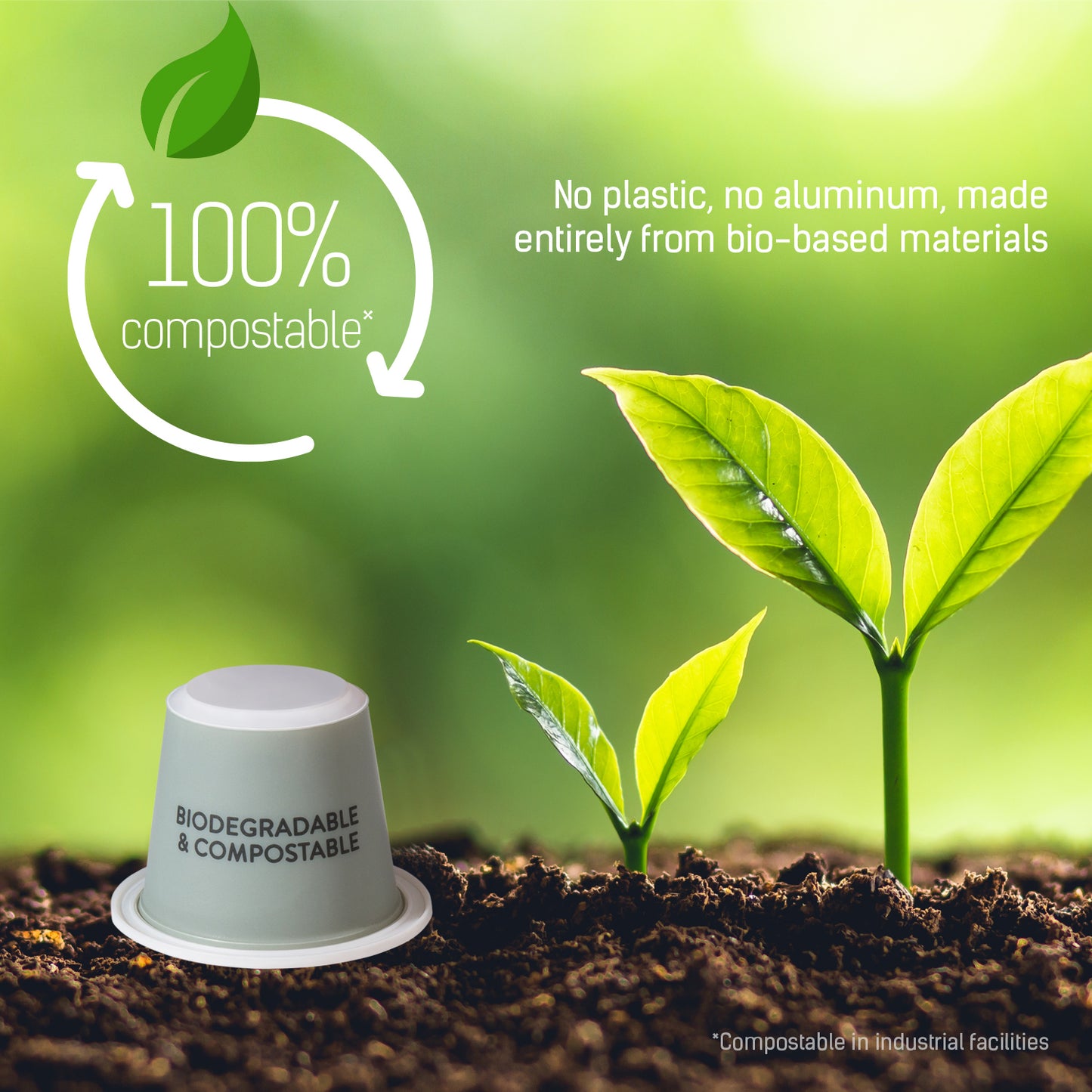 Queen Espresso - 10 Compostable Pods