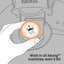 The Knight - 12 Compostable Pods