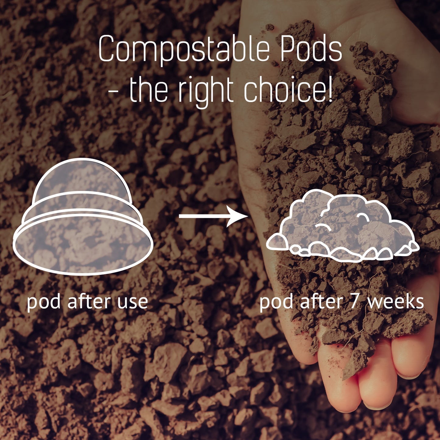 The Duke - 12 Compostable Pods