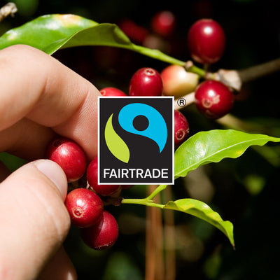 Gourmesso Etiopia Blend Forte - Fairtrade - 10 Pods